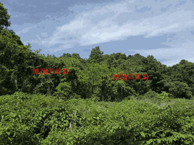 B000424202501300102243.jpg