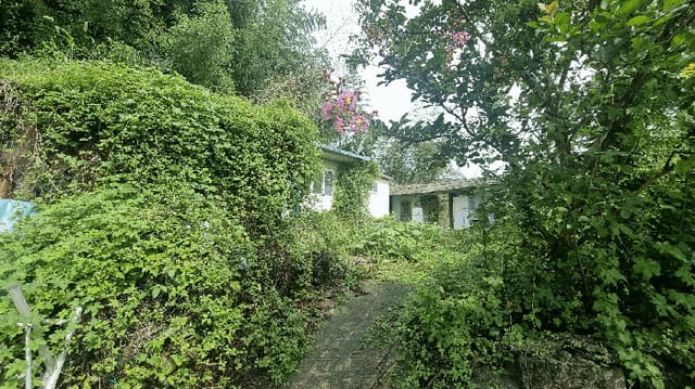 B0004242025013001024420.jpg
