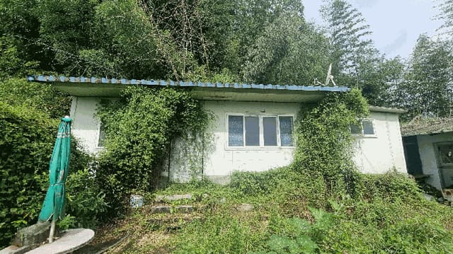 B0004242025013001024419.jpg