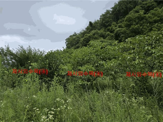 B000424202501300102594.jpg