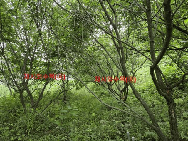 B000424202501300102593.jpg