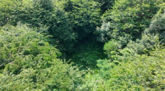 B000424202501300102681.jpg