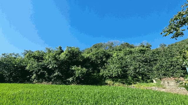 B000424202501300102803.jpg
