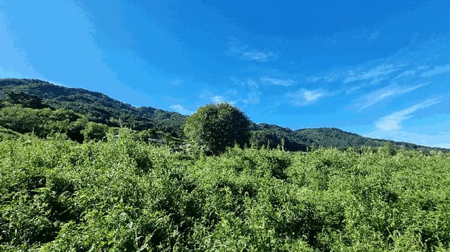B000424202501300103132.jpg