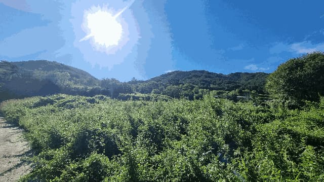 B000424202501300103134.jpg
