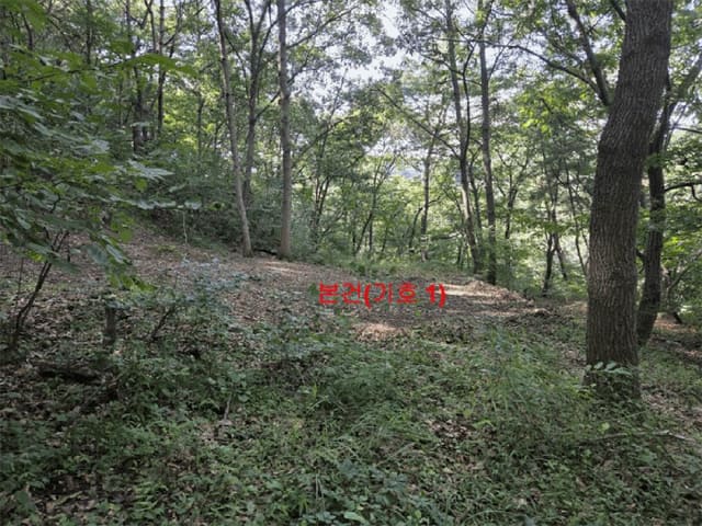 B000424202501300103204.jpg