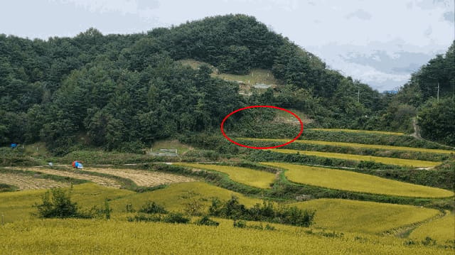 B000424202501300103372.jpg