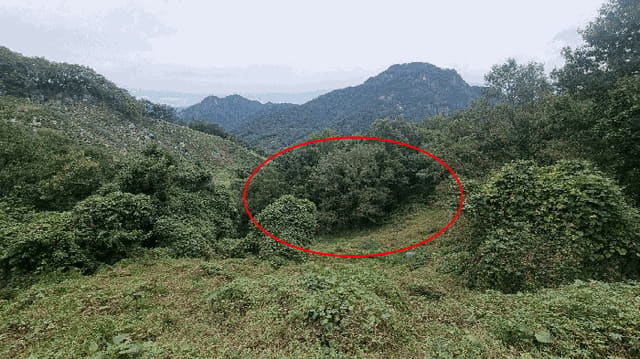 B000424202501300103373.jpg