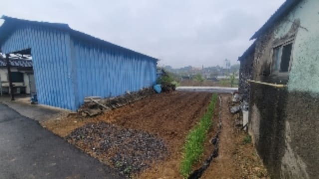 B000431202401300007081.jpg