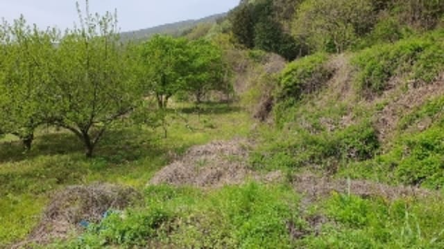 B000431202401300009062.jpg