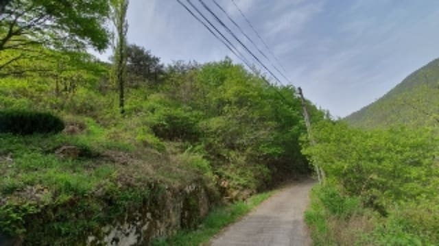 B000431202401300009063.jpg