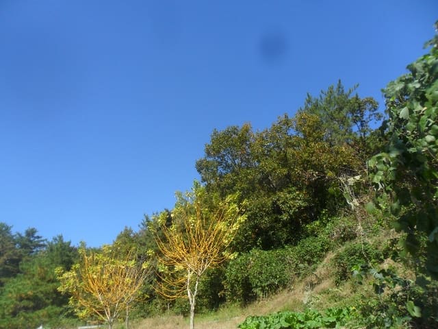 B000431202401300023153.jpg