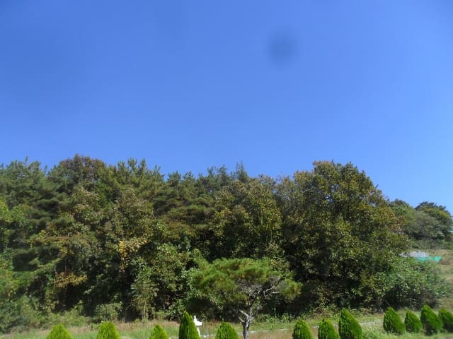 B000431202401300023154.jpg
