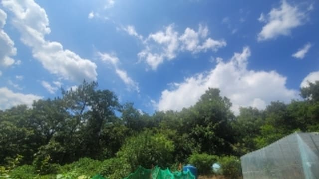 B000431202401300023151.jpg