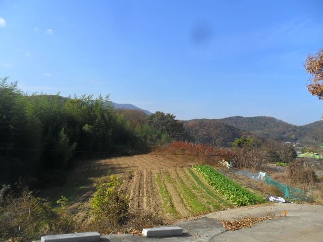 B000431202401300023534.jpg