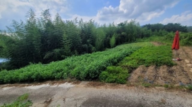 B000431202401300023531.jpg