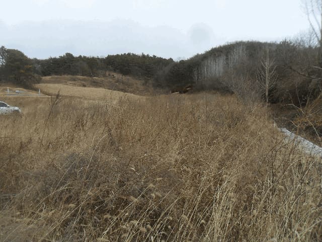 B000431202401300029194.jpg