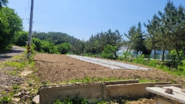 B0004312024013010263514.jpg
