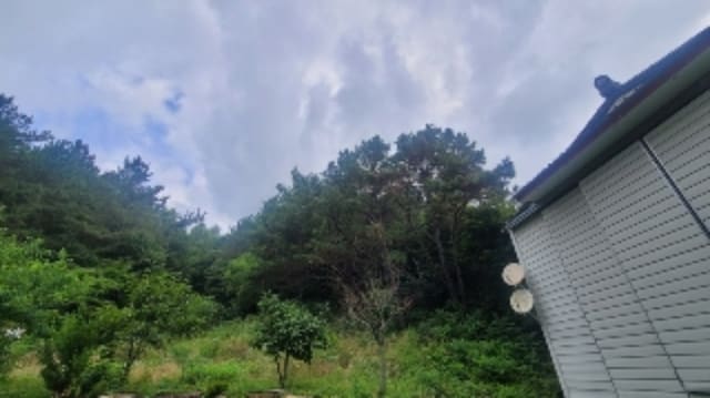 B000431202401301033172.jpg
