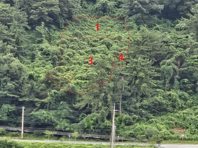 B000431202401301041054.jpg