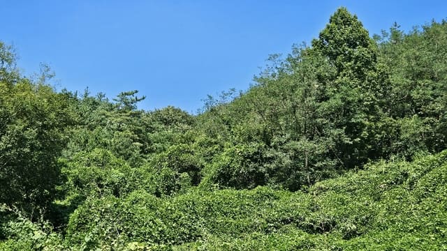 B000431202401301045564.jpg
