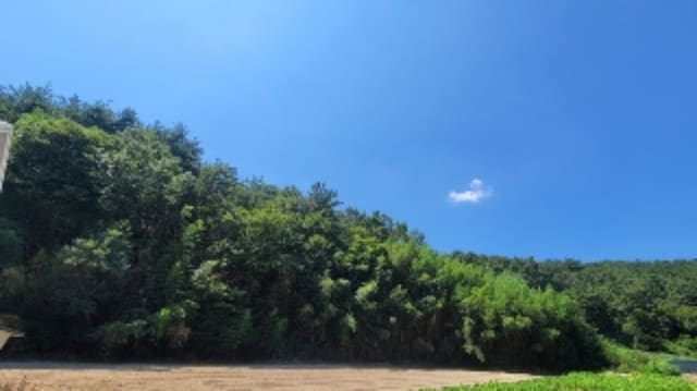 B000431202401301045561.jpg