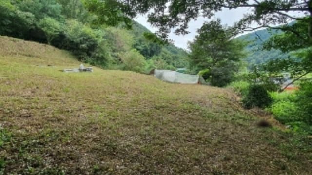 B000431202401301053133.jpg