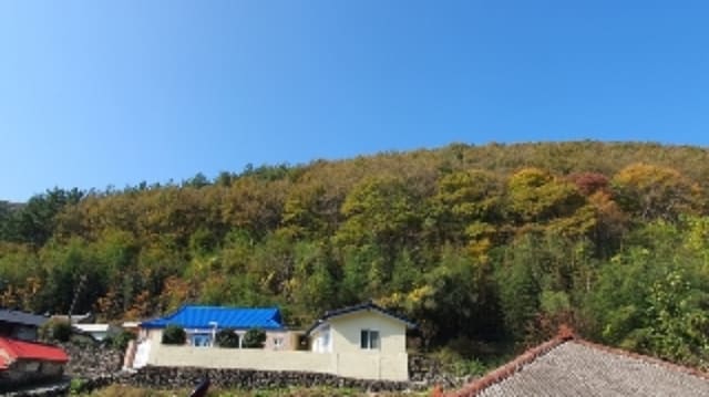 B000431202401301063161.jpg
