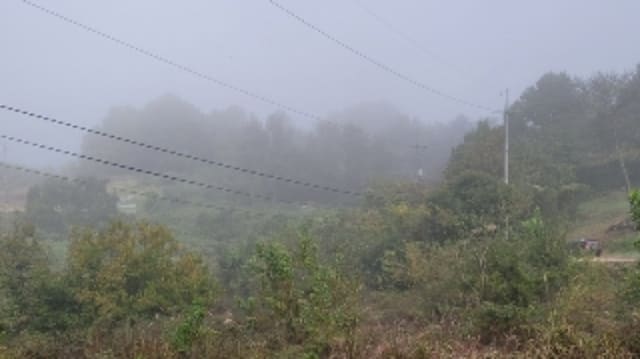 B000431202401301063613.jpg