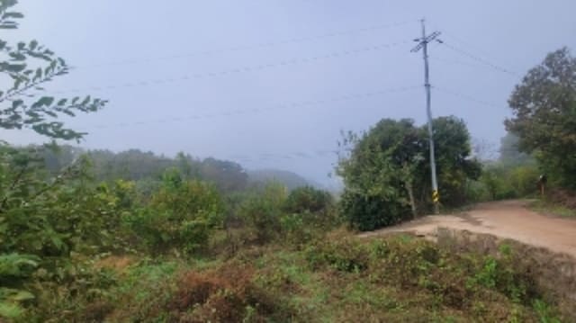 B000431202401301063611.jpg