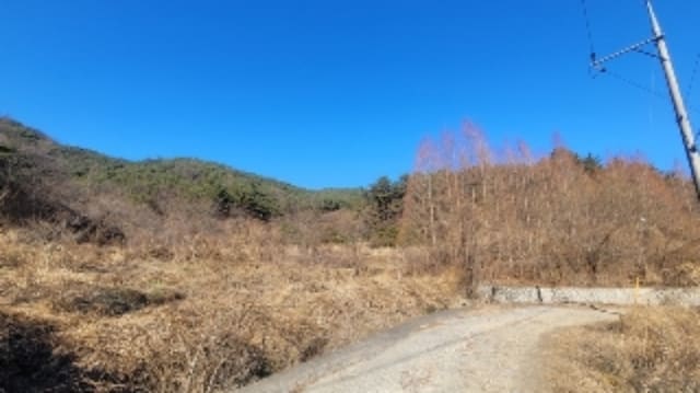 B000431202401301070053.jpg