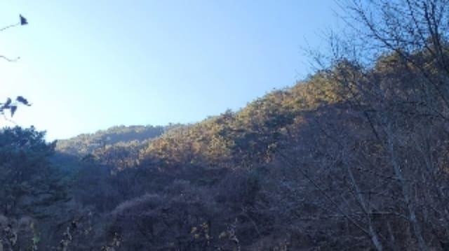 B000431202401301070054.jpg