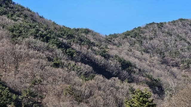 B000431202401301073643.jpg