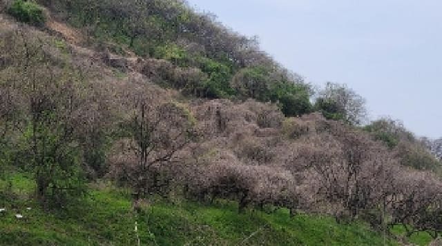 B000431202501300001772.jpg