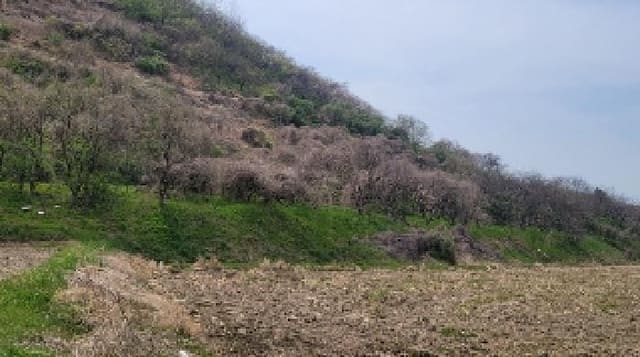B000431202501300001771.jpg
