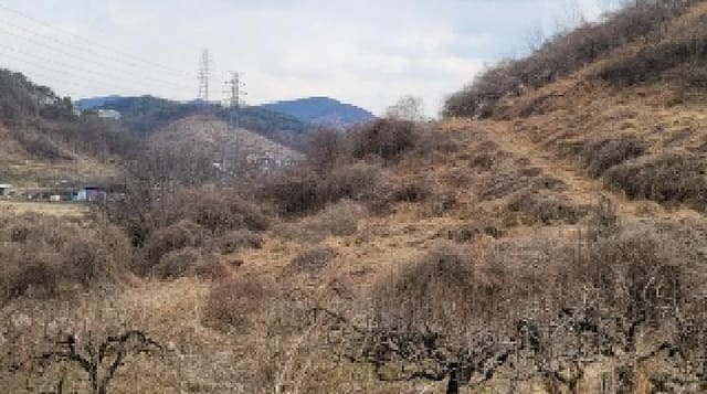 B000431202501300001773.jpg
