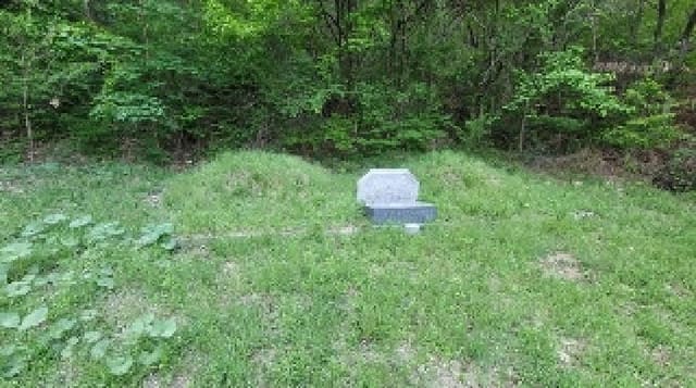 B000431202501300001961.jpg