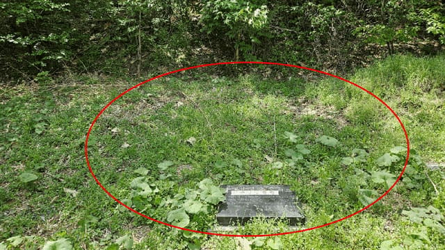 B0004312025013000019610.jpg