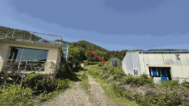 B000431202501300002094.jpg