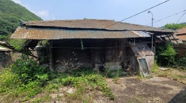 B000431202501300002141.jpg