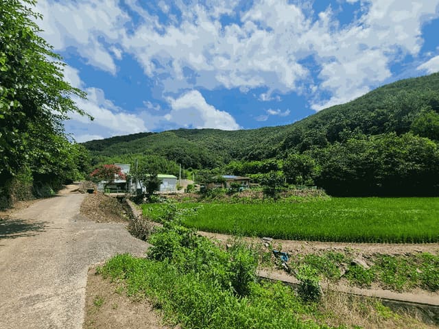 B0004312025013000026345.jpg