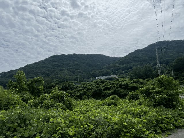 B000431202501300002744.jpg
