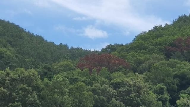 B000431202501300002741.jpg