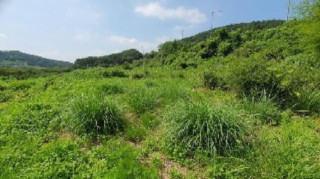 B000431202501300002761.jpg