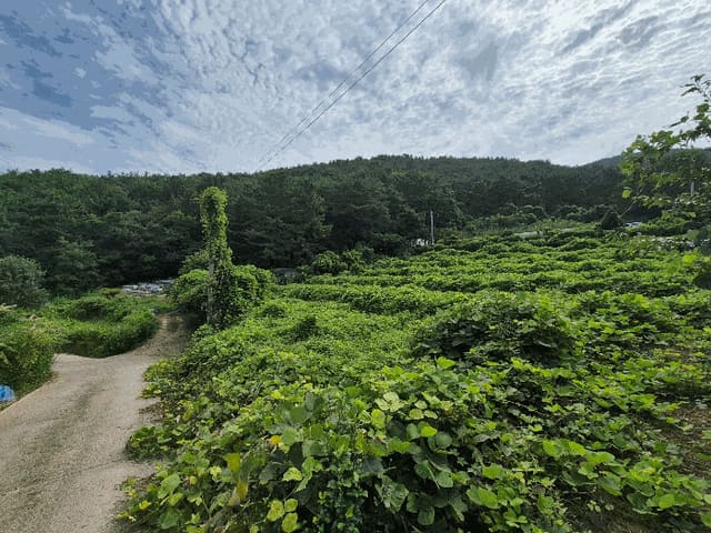 B000431202501300002794.jpg
