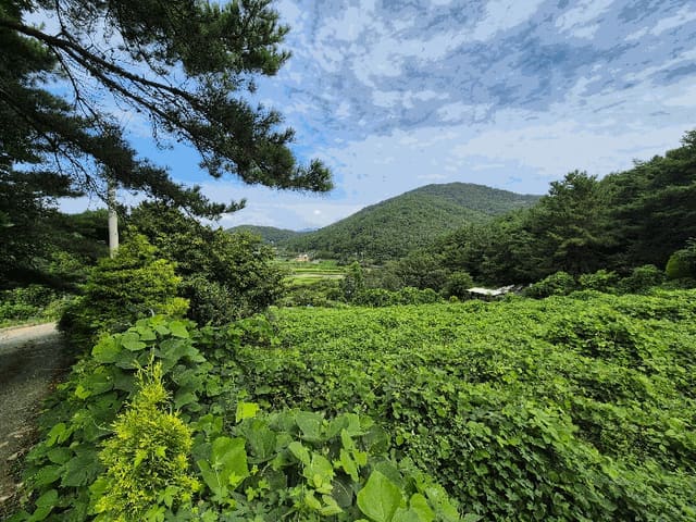 B000431202501300002793.jpg