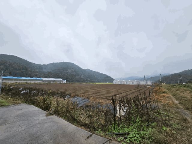 B0004312025013000030415.jpg