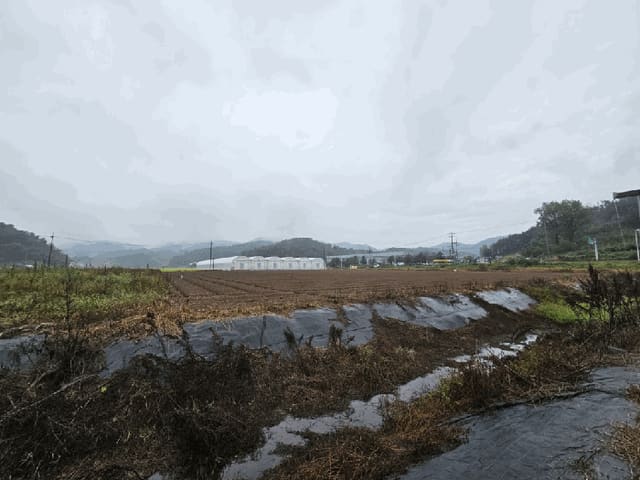 B0004312025013000030416.jpg