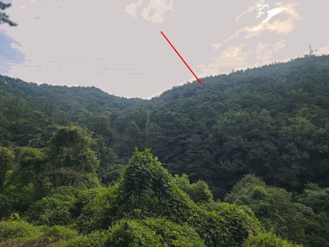 B000431202501300003094.jpg