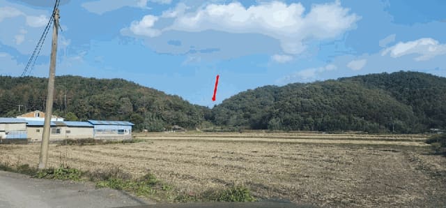 B000431202501300003144.jpg